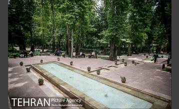 شهرنگار؛ باغ ایرانی 6