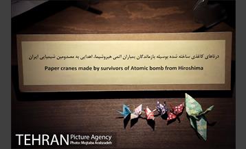 به بهانه دهمین سالگرد موزه صلح 29