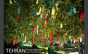 بوستان هنرمندان (ایرانشهر) 26