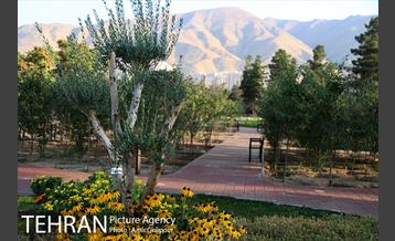 باغ راز هستی 19