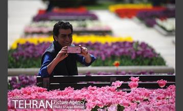 رویش گل های لاله در بوستان گفتگو 27