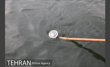 سقوط یه فروند بالگرد در دریاچه شهدای خلیج فارس 19