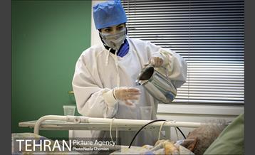 جان تو و جان شهر 18