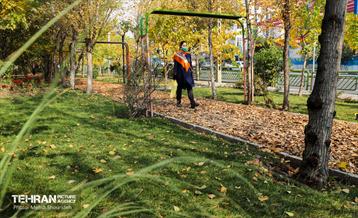 سمفونی رنگ های پاییزی - بوستان اندیشه 4