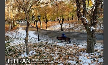 پاییز برفی پارک ملت 26