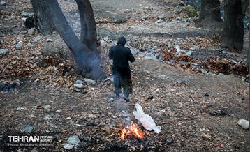 بازدید شهردار تهران از منطقه 2