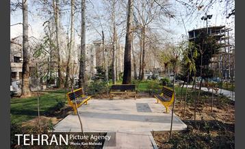 بوستان قلمستان 13