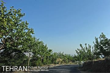 بوستان جنگلی لتمال کن 4