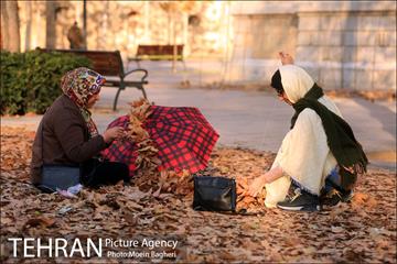 به رنگ پاییز 20