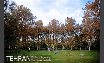 ورزش اسلک لاین 25