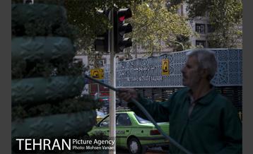 بلوار کشاورز 6