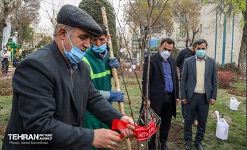 مراسم‌ کاشت نهال در بوستان بهاران منطقه ۱۷