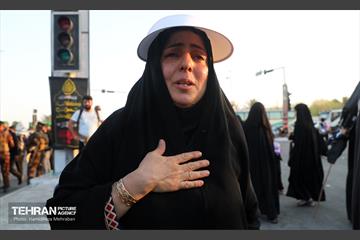 زائران حسینی؛ عمود سلام 14