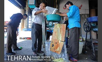 بازار میوه تربار مرکزی 9