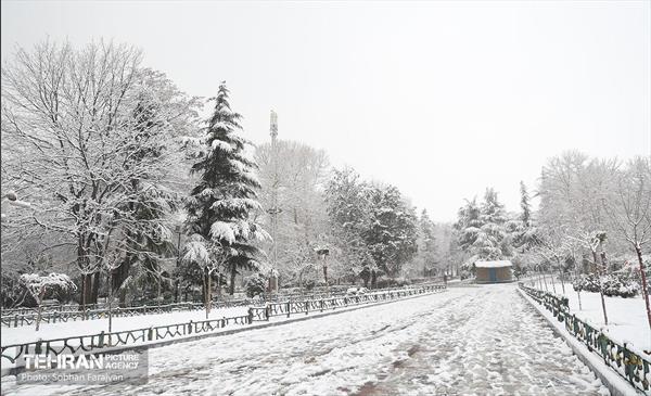 صبح برفی بوستان ملت 25