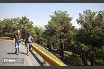 روز طبیعت در پارک جنگلی لویزان 30