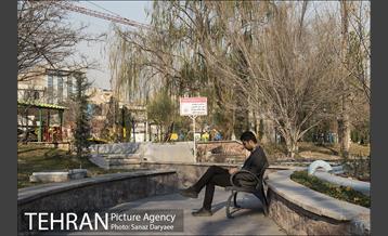 خیابان کریم خان زند 13