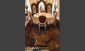 بازدید مسافران نوروزی تهران از کاخ موزه نیاوران‎ 20