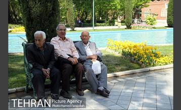 لاله های بهاری پارک شهر 21