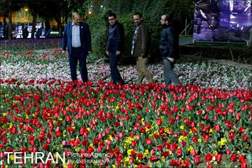شب عید با شهردار شب تهران 26