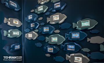 اقیانوس پارک  2