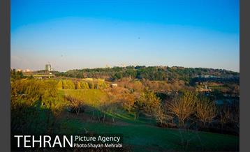 پاییز اراضی عباس آباد 14