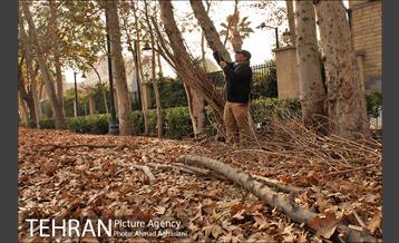 سومین رویداد هنری "پاییز برگ" در میدان مشق 30