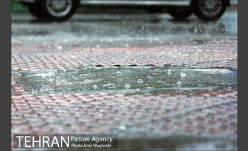 عصر بارانی تهران 14
