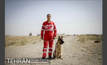 سگ های آنست 12