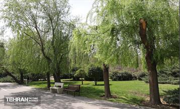 بوستان بانوان نرگس 36