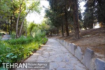 باغ گیاه شناسی ملی ایران  13