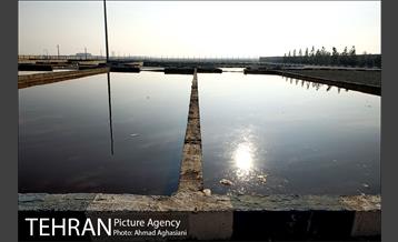 مجتمع پردازش و بازیافت زباله آراد کوه کهریزک  21