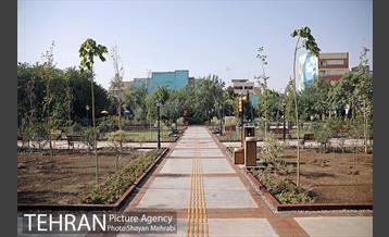 آیین افتتاح و بهره برداری از باغ ایرانی حکیم 29