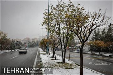 بارش نخستین برف پاییزی در تهران 11