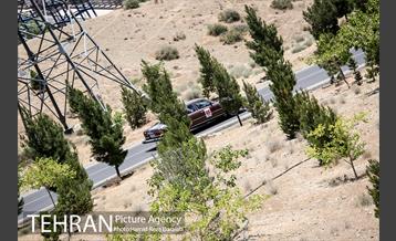 رقـابت یکصد خودرو در رالی تهران  27