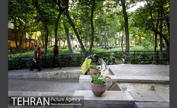 شهرنگار؛ باغ ایرانی 24