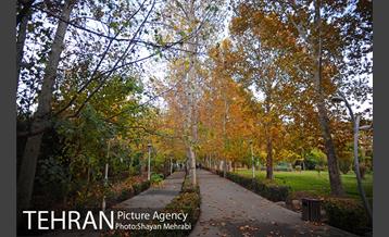 طبیعت پاییزی بوستان لاله 15