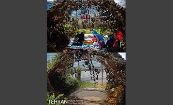 ملت بی ملت 14