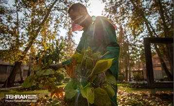 گذرگاه های پاییزی پایتخت - باغ فردوس  19