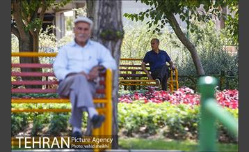 بوستان المهدی 14