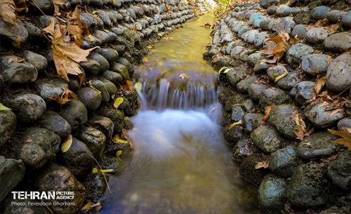 سمفونی رنگ های پاییزی - کاخ سعدآباد 37