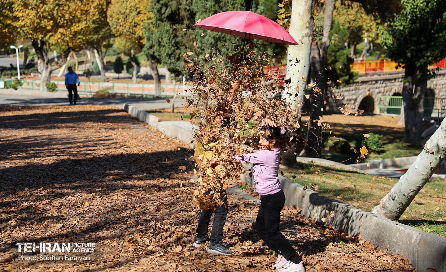 گذر پاییزی بوستان بعثت 12