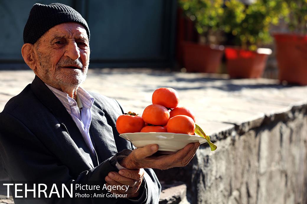 نخستین جشنواره خرمالو در روستای کشار سفلی 16