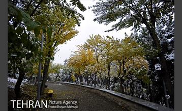 بارش برف پاییزی در بوستان طالقانی 13