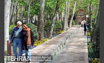 رویش گل های لاله در باغ ایرانی 14