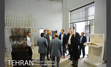 بازدید شهردار بلگراد از باغ موزه قصر 29