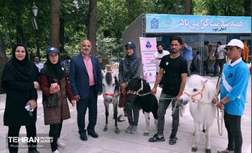 افتتاحیه هفته ملی سلامت در پارک شهر 12