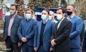 کاشت نخل های کهنسال به یاد شهدا در منطقه ۱۳