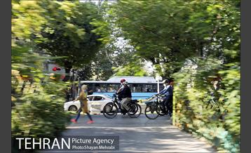 پویش سه شنبه های بدون خودرو 17