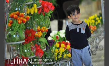 نمایشگاه بین المللی گل و گیاه 22